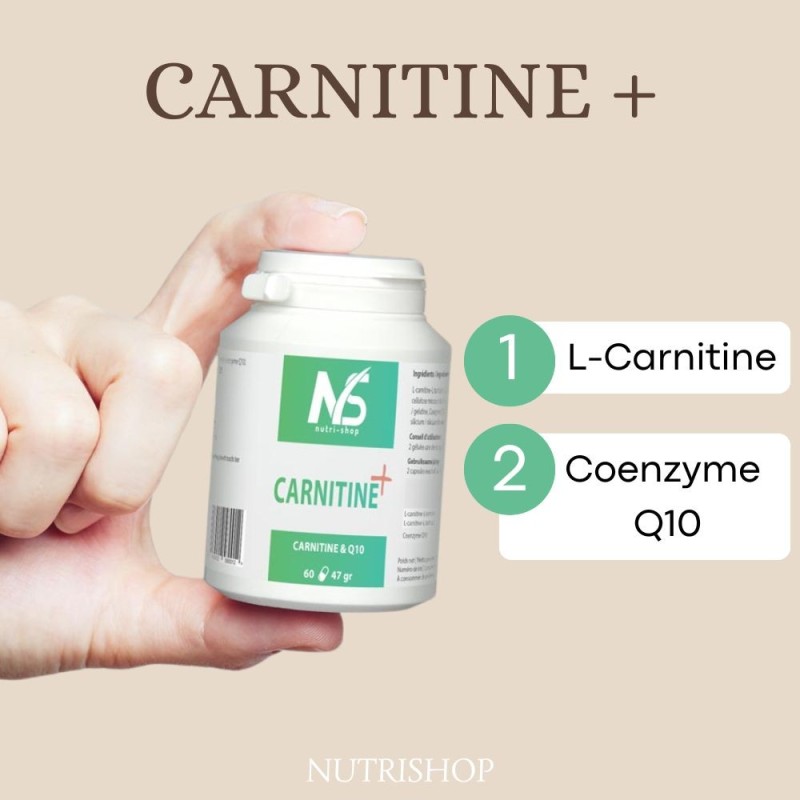 Carnitine +  et coenzyme Q10